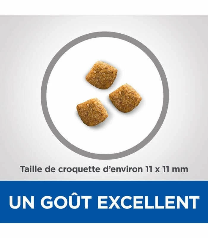 HILL'S Pet Nutrition Croquettes YOUNG ADULT DENTAL HEALTH POULET Chat Sac 2.5 Kg - Vet Essentials 6 HILL'S Pet Nutrition Croquettes YOUNG ADULT DENTAL HEALTH POULET Chat Sac 2.5 Kg - Vet Essentials – Image 4