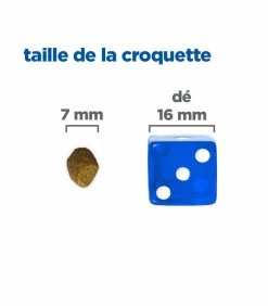 HILL'S Pet Nutrition Croquettes Feline Multi-Benefit Dental Adult Poulet Sac 3 Kg - Vet Essentials 13 HILL'S Pet Nutrition Croquettes Feline Multi-Benefit Dental Adult Poulet Sac 3 Kg - Vet Essentials -alimentation chats boutique croquettes young adult dental health poulet chat sac 2 kg vetessentials 7