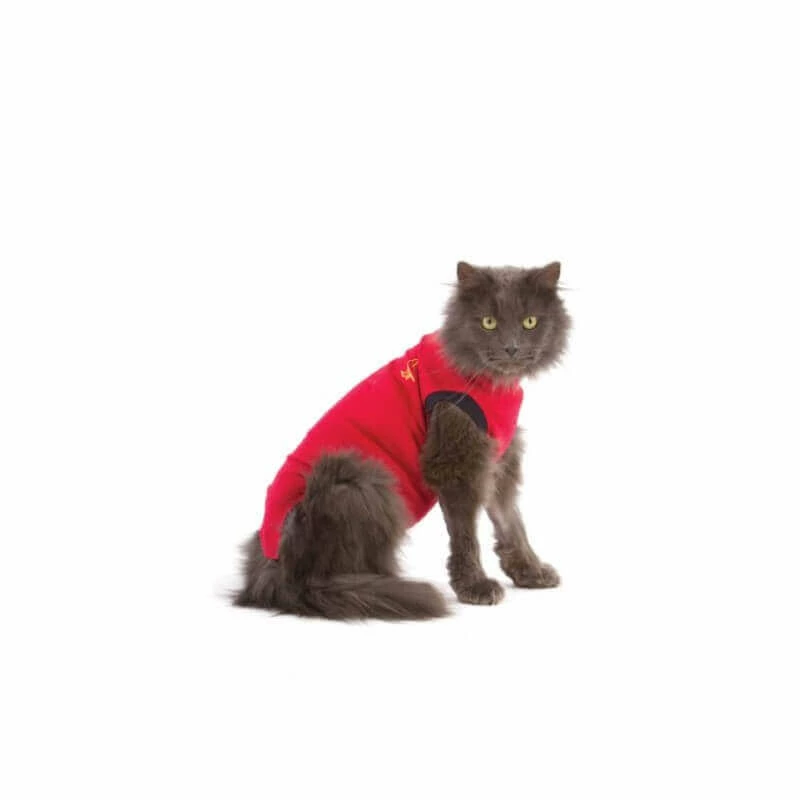 Medical Pet Shirt Gilet Protecteur T.XS Chat 3 Medical Pet Shirt Gilet Protecteur T.XS Chat