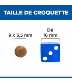 HILL'S Pet Nutrition Croquettes I/D ACTIVEBIOME+ Chat 5 Kg - Prescription Diet -alimentation chats boutique id activebiome chat 5 kg prescription diet 4