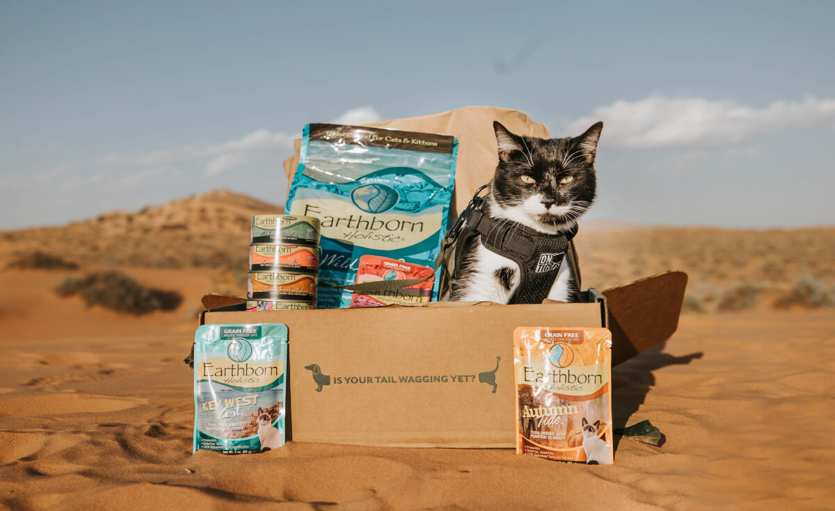 alimentation chats boutique -alimentation chats boutique images template Hero Image 1