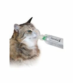 Inhalateur AEROKAT Chat
