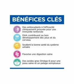 HILL'S Pet Nutrition Pâtée KITTEN GROWTH POULET Chat 12x85g - Vet Essentials -alimentation chats boutique kitten growth poulet chat 12x85g vet essentials 3