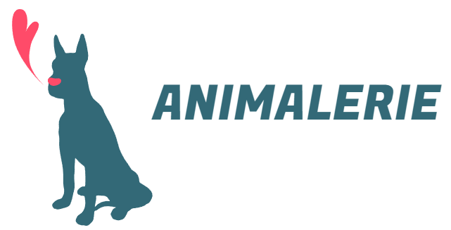 alimentation chats boutique