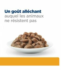 HILL'S Pet Nutrition Pâtée C/D URINARY MULTICARE SAUMON Chat 12x85g - Prescription Diet -alimentation chats boutique patee cd urinary multicare saumon chat 12x85g prescription diet 7