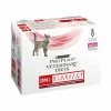Purina Pâtée DM DIABETES MANAGEMENT BOEUF Chat 10x85g - Pro Plan Veterinary Diets 1 Purina Pâtée DM DIABETES MANAGEMENT BOEUF Chat 10x85g - Pro Plan Veterinary Diets -alimentation chats boutique patee dm diabetes management boeuf chat 10x85g pro plan veterinary diets