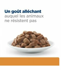 HILL'S Pet Nutrition Pâtée K/D J/D KIDNEY + MOBILITY POULET Chat 12x85g - Prescription Diet 19 HILL'S Pet Nutrition Pâtée K/D J/D KIDNEY + MOBILITY POULET Chat 12x85g - Prescription Diet -alimentation chats boutique patee kd jd kidney mobility poulet chat 12x85g prescription diet 7