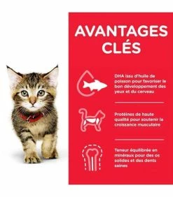 HILL'S Pet Nutrition Pâtée KITTEN PACK MIXTE Chat 12x85g - Science Plan -alimentation chats boutique patee kitten pack mixte chat science plan 3