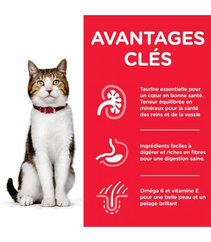 HILL'S Pet Nutrition Pâtée MATURE ADULT 7+ POULET Chat 12x85g - Science Plan 4 HILL'S Pet Nutrition Pâtée MATURE ADULT 7+ POULET Chat 12x85g - Science Plan – Image 2