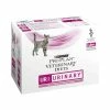 Purina Pâtée UR URINARY SAUMON Chat 10x85g - Pro Plan Veterinary Diets 1 Purina Pâtée UR URINARY SAUMON Chat 10x85g - Pro Plan Veterinary Diets -alimentation chats boutique patee ur urinary saumon chat 10x85g pro plan veterinary diets