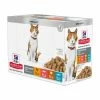 HILL'S Pet Nutrition Pâtée STERILISED YOUNG ADULT PACK MIXTE Chat 12x85g - Science Plan 1 HILL'S Pet Nutrition Pâtée STERILISED YOUNG ADULT PACK MIXTE Chat 12x85g - Science Plan -alimentation chats boutique patee young adult sterilised pack mixte chat 12x85g science plan