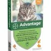 Bayer Solution ADVANTAGE 40 Chat Et Lapin 4 Pip. -alimentation chats boutique solution advantage 40 chat et lapin 4 pip