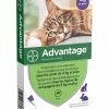 Bayer Solution ADVANTAGE 80 Chat Et Lapin 6 Pip. -alimentation chats boutique solution advantage 80 chat et lapin 6 pip