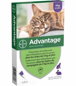 Bayer Solution ADVANTAGE 80 Chat Et Lapin 6 Pip.